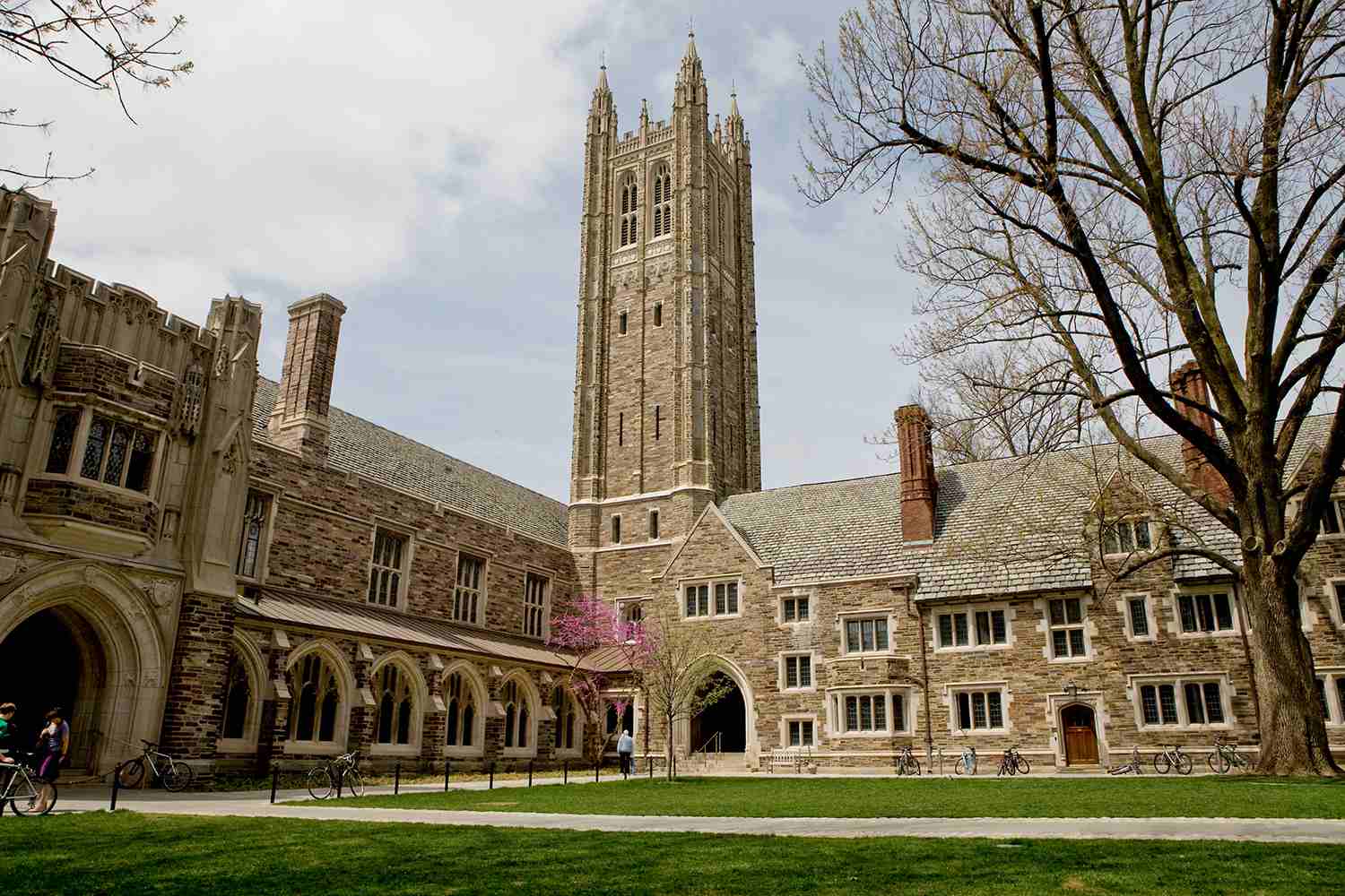 Ivy League Universities